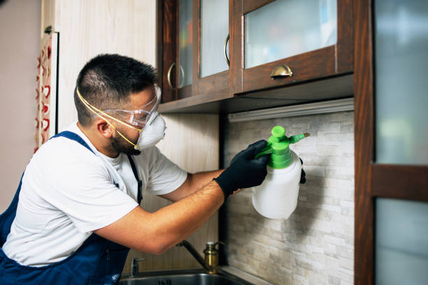 Best Best Pest Control Companies  in Laguna Niguel, CA