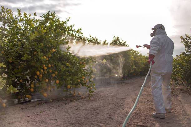 Best Mosquito Control Services  in Laguna Niguel, CA