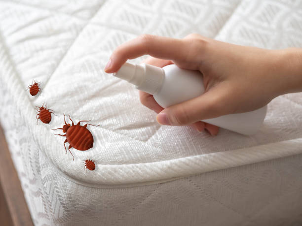 Best Pest Prevention Services  in Laguna Niguel, CA